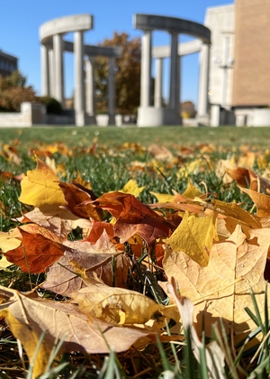 Fall Colors and Colonnade in the background
