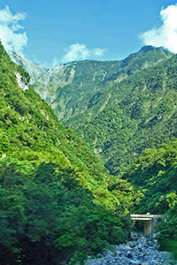 forested mountains in Taiwan