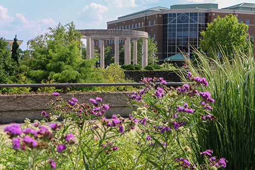 colonnade and university hall