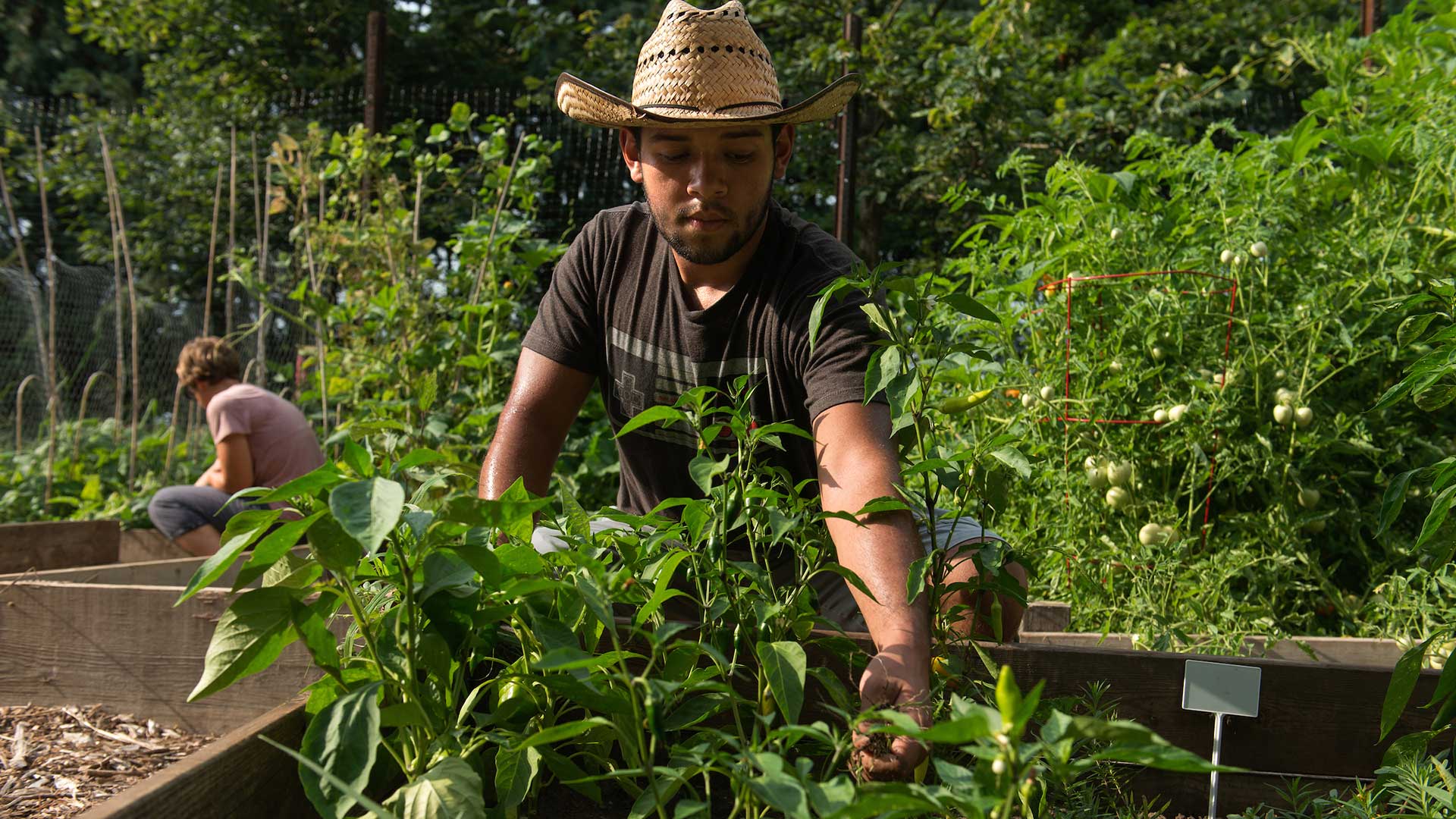 student in garden