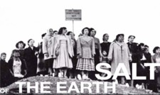 Salt of the Earth