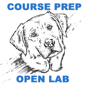 course prep open lab with drawing of labrador retriever