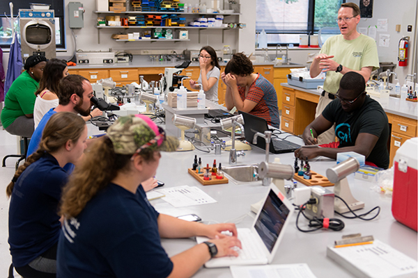 Students conducting hands-on experiments in a university science lab with faculty instruction