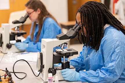 School of Health Science