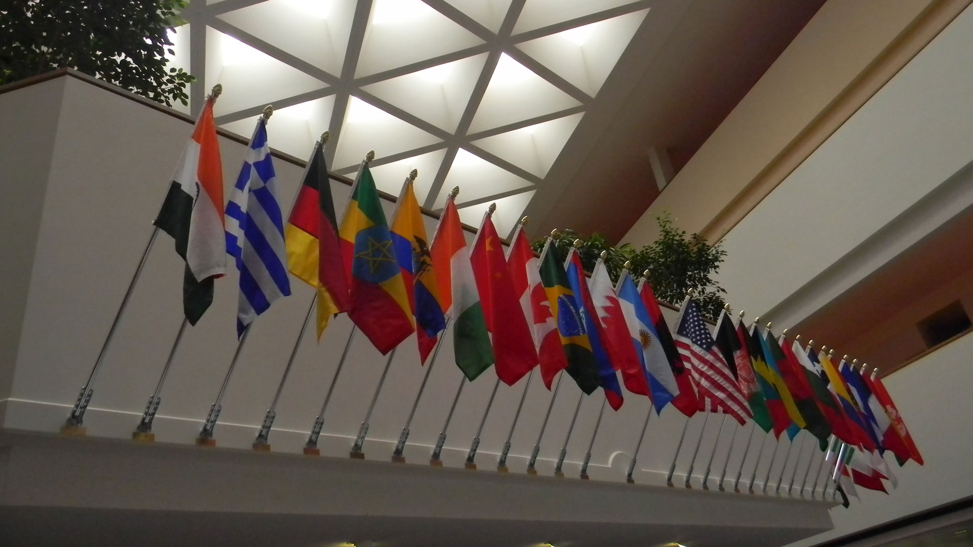 a line of country flags from around the world