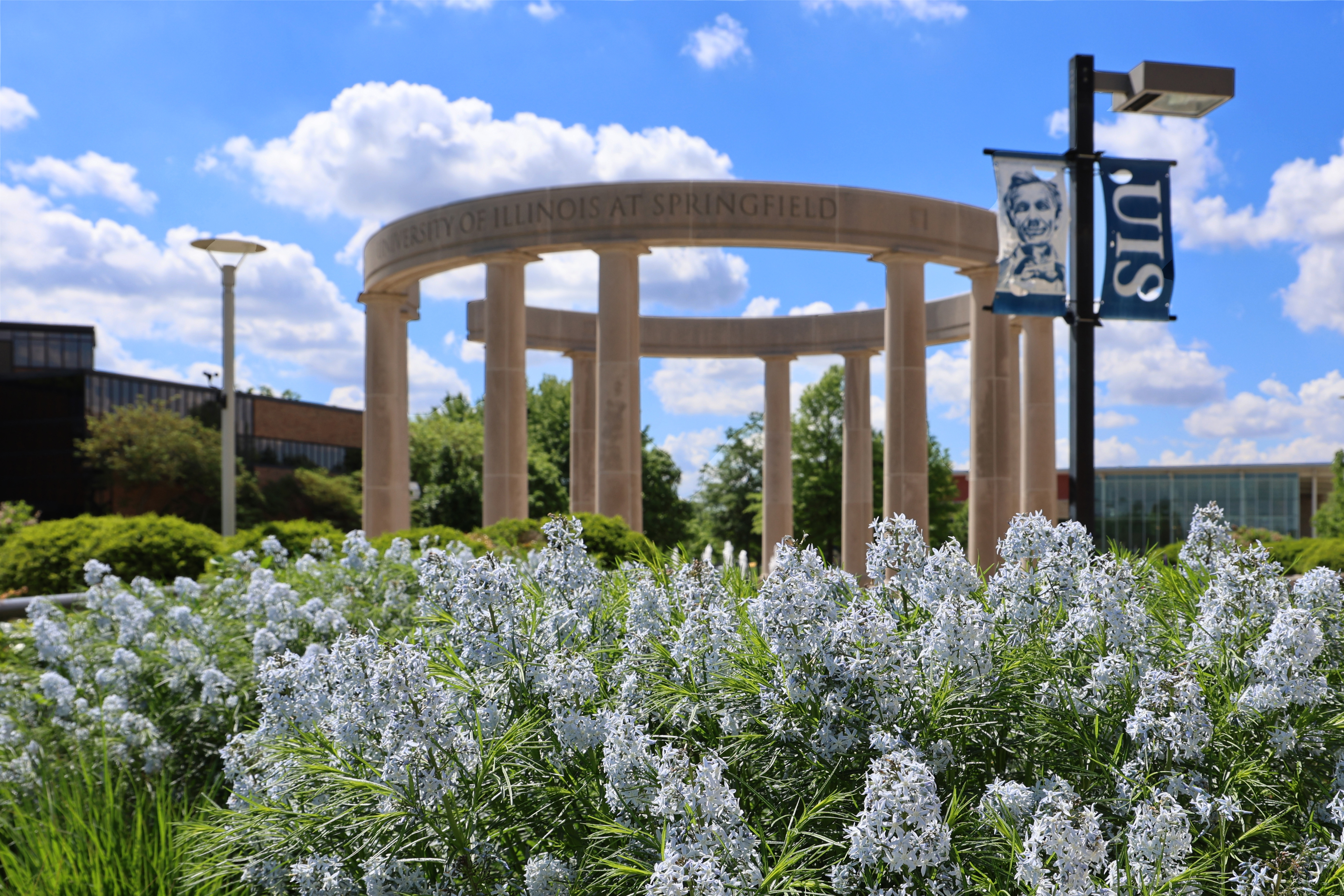 Colonnade and white flowers under a blue sky with clouds.
