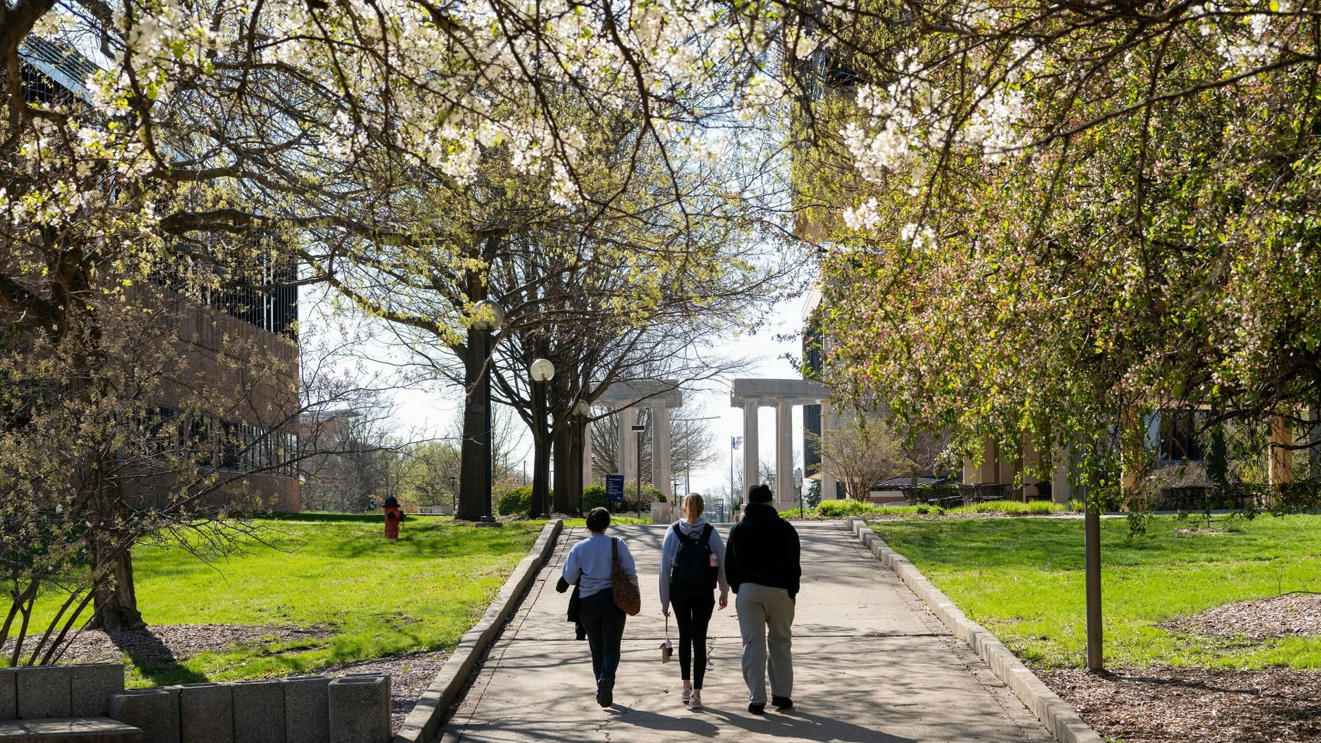 three students walking up the sidewalk between HSB and Brookens Library