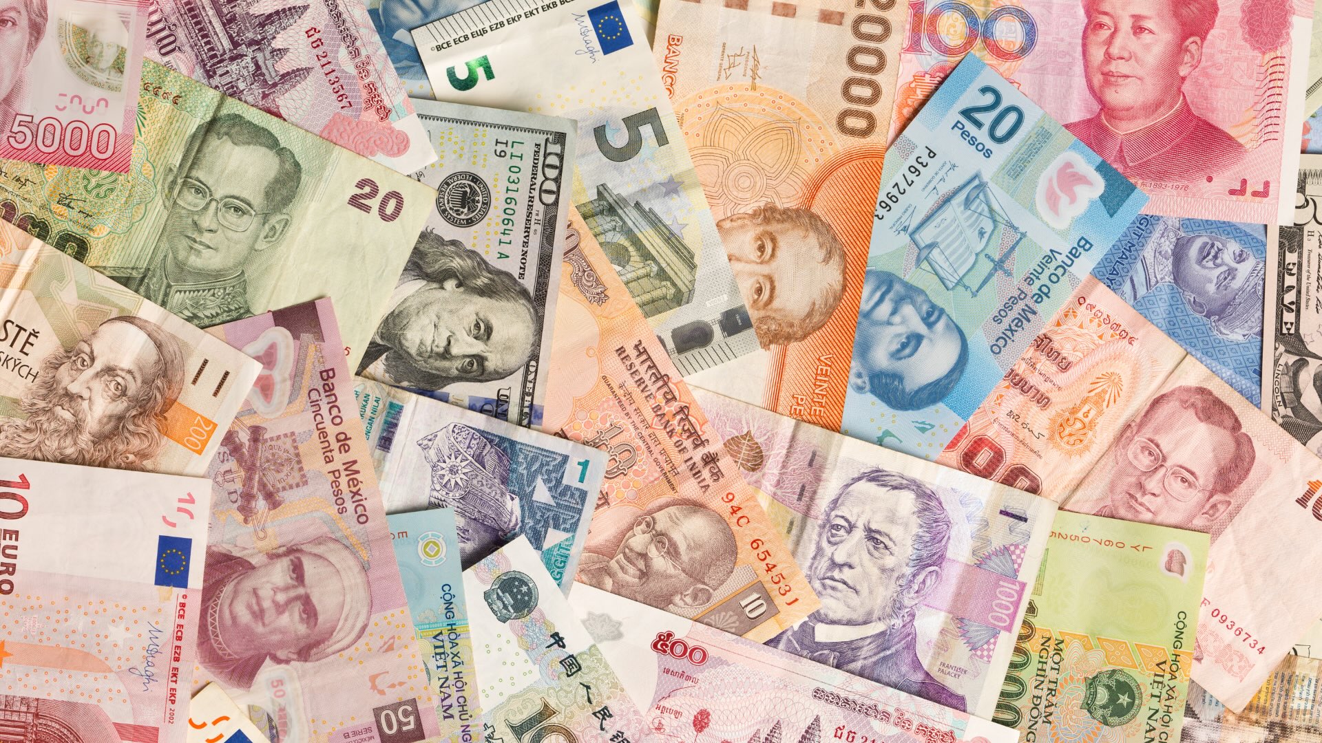bank notes from various countries around the world