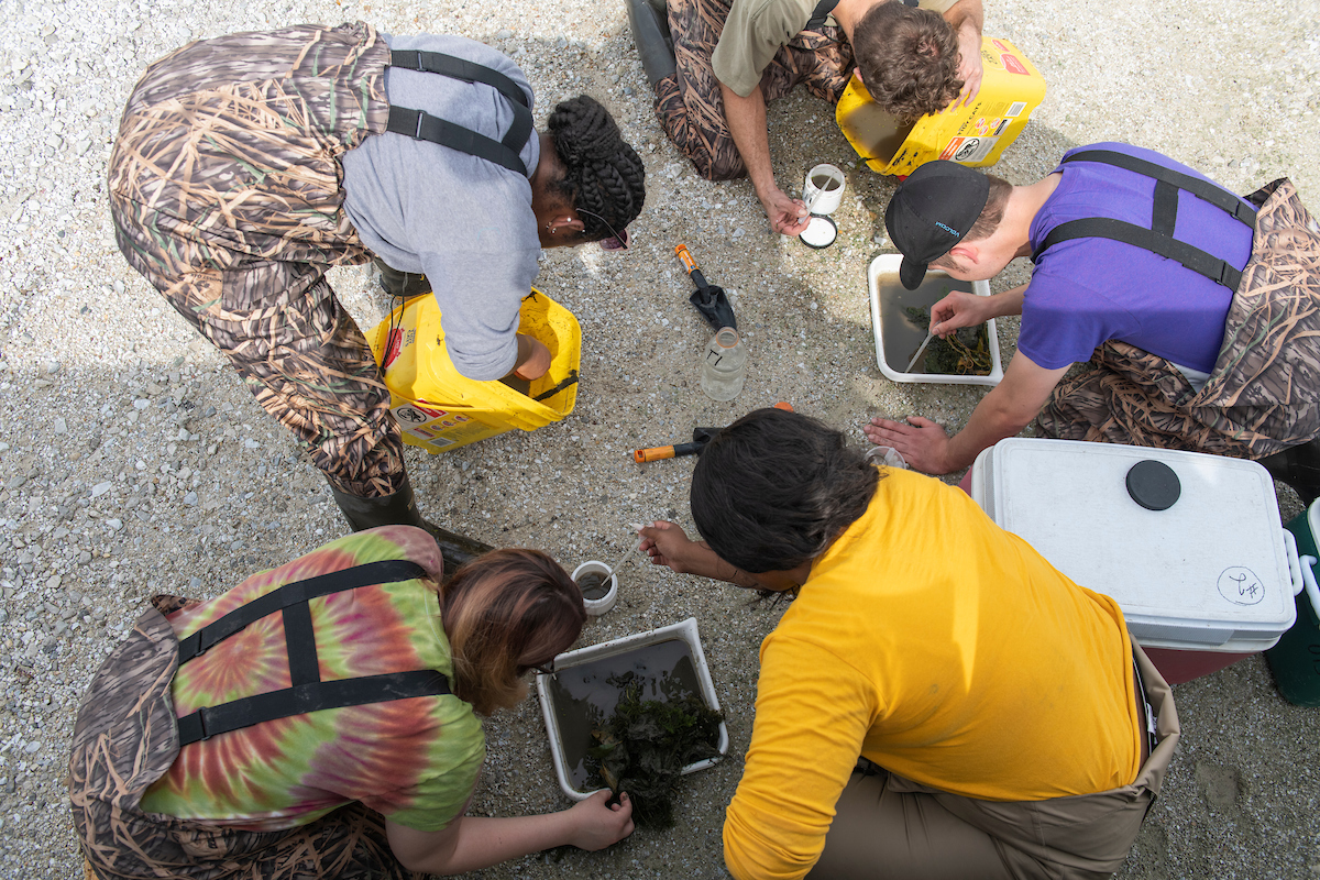 students testing water