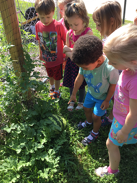 children looking at the children's garden