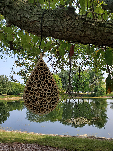 A bee hotel near the UIS pond