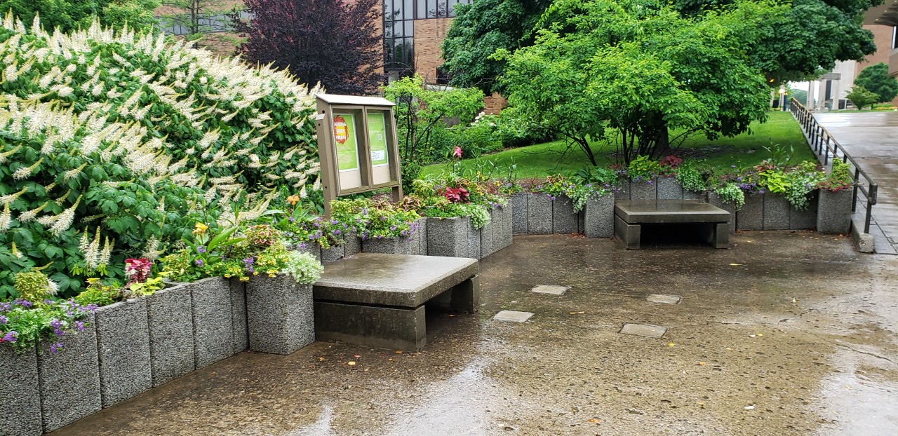 landscaping and stone benches on the UIS campus