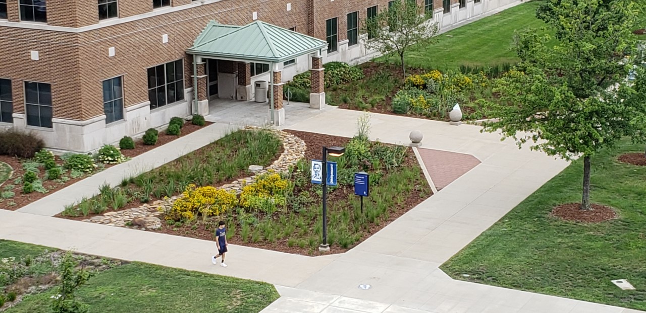 bird's eye view of the landscaping outside of UHB
