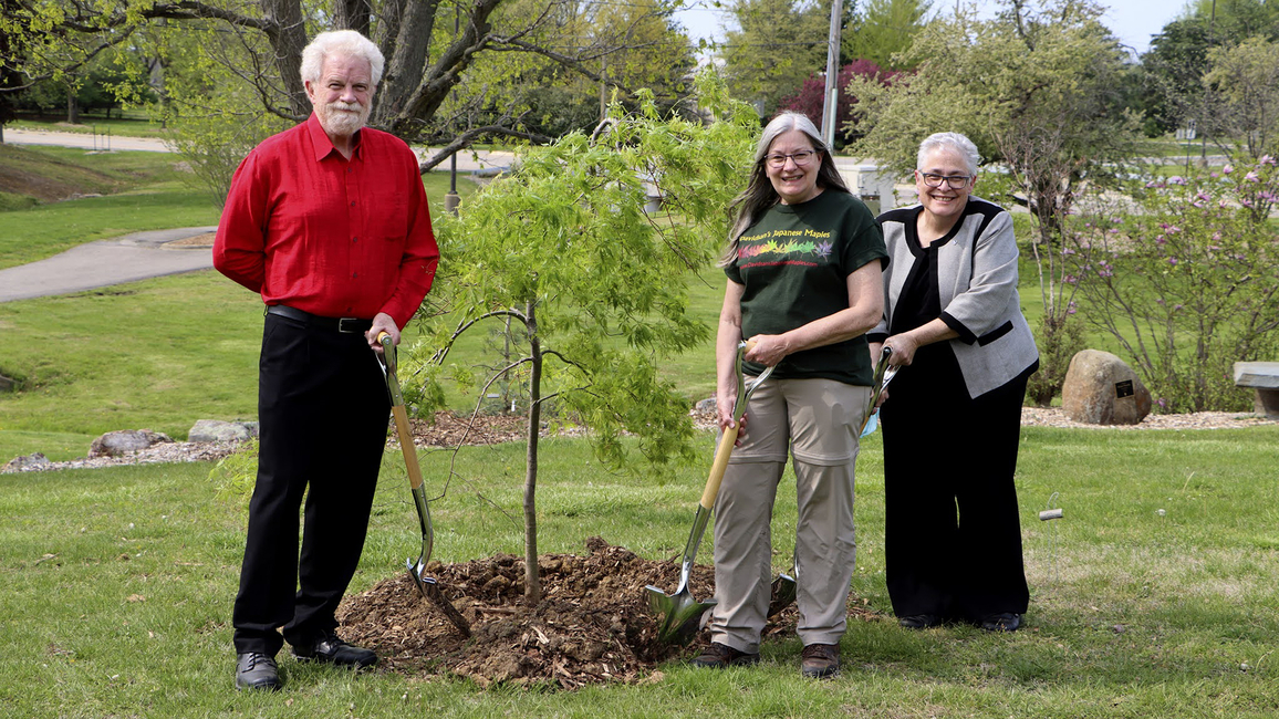 Planting trees