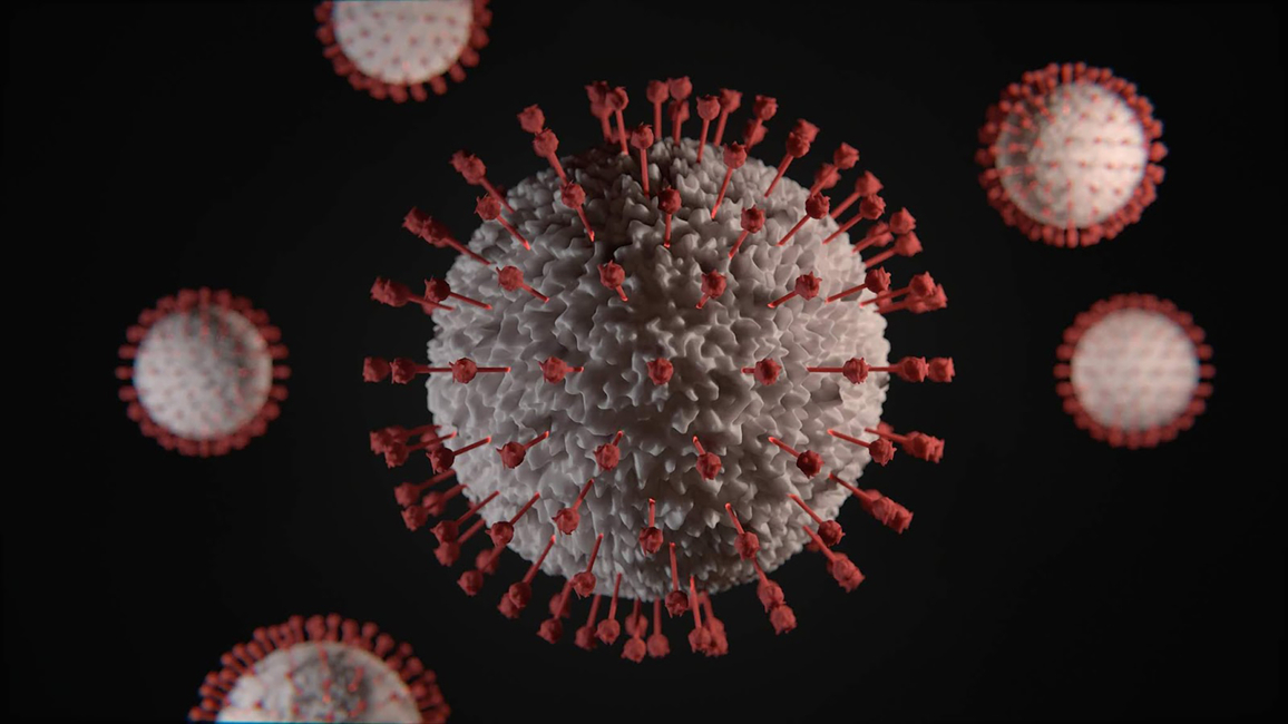 COVID virus