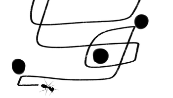 Abstract image of squiggly black lines with randomized black dots