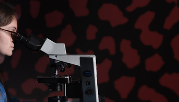 student looking at a slide through a microscope