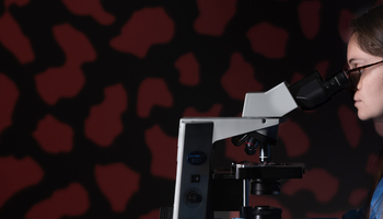 student looking at a slide through a microscope