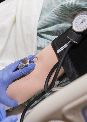 Nurse taking blood pressure 