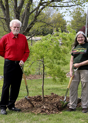 Planting trees