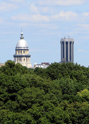 Springfield Skyline