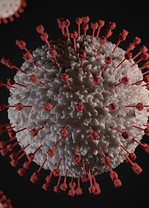 COVID-19 virus