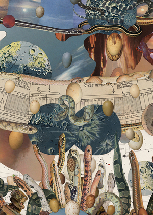 Doug Stapleton artwork