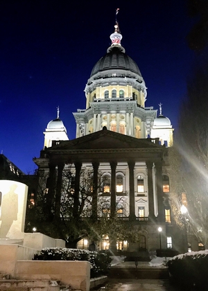 Illinois Statehouse at night