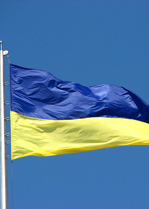 Ukraine Flag