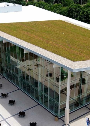 green roof
