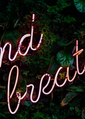 "and breathe" spelled out in fluorescent lighting with green leaves in the background