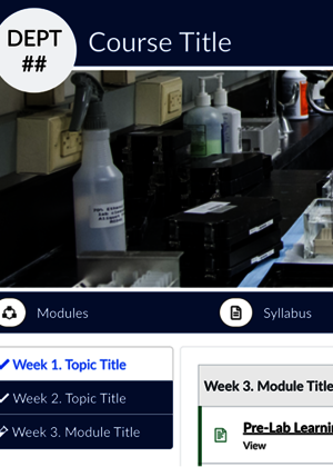 canvas course home page