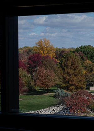 Fall leaves and Brookens Library through the windows in the Public Affairs Center