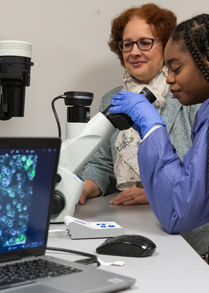 Student and professor examining cell samples under a microscope with data displayed on a nearby laptop.