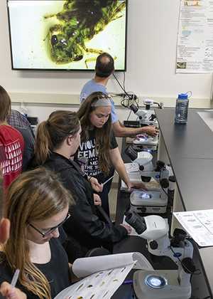 Students work with microscopes in a lab at the UIS Therkildsen Field Station at Emiquon.