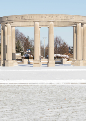 the colonnade in the background with a light snowfall in the foreground