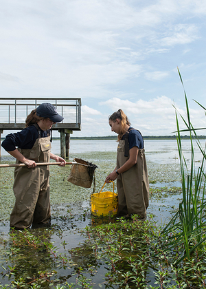Students in waders collect samples in a wetland at Emiquon near a dock, surrounded by aquatic plants and reeds.