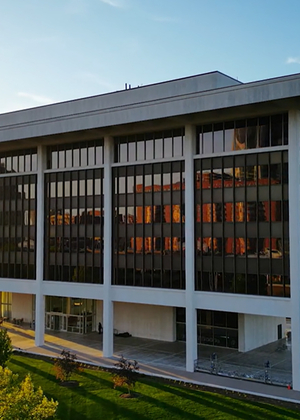 Horace Mann building in downtown Springfield at sunset, with trees and sidewalks in the foreground.