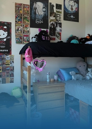 A dorm room is decorated with various posters, plush toys, and personal items arranged around a loft bed setup.