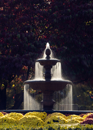 water fountain on the UIS campus
