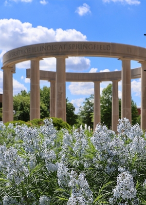 Stone arch monument with cloudy blue sky and white flowers.