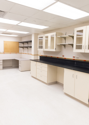 Laboratory with beige cabinets and black countertops, fluorescent lights above.