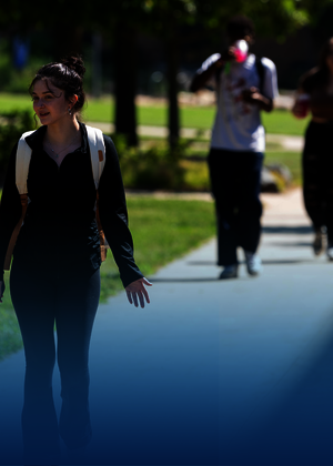 Students walking on a sunny campus path.