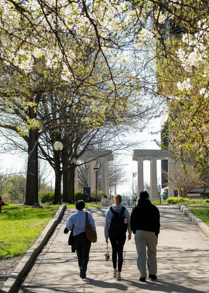 three students walking up the sidewalk between HSB and Brookens Library