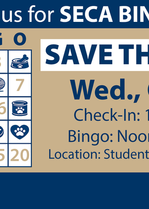 Bingo event poster with date and location details.
