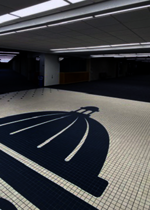 Capitol dome graphic on tiled floor in a dimly lit hallway.