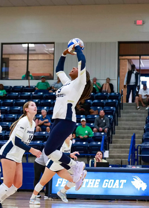 Volleyball player setting