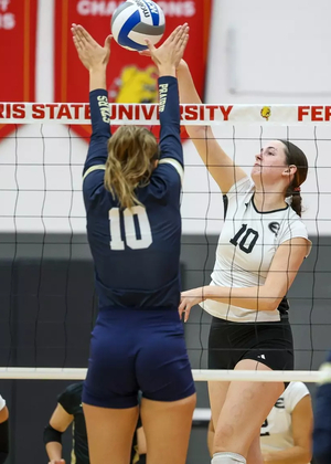 A Mendleblatt-Schwartz block in a volleyball match