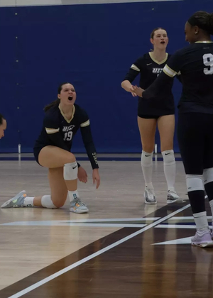 Volleyball team celebration
