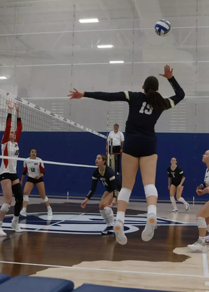 Volleyball court